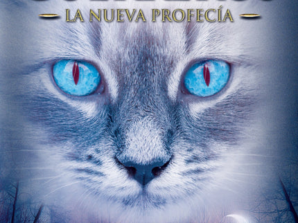 Claro De Luna
