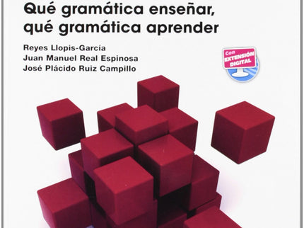 Que Gramatica Enseñar,que Gramatica Aprender