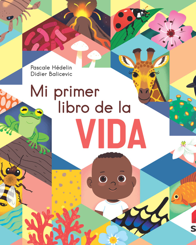 Mi Primer Libro De La Vida