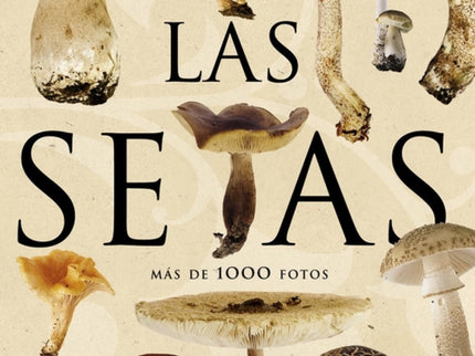 Las Setas (enciclopedia Universal)