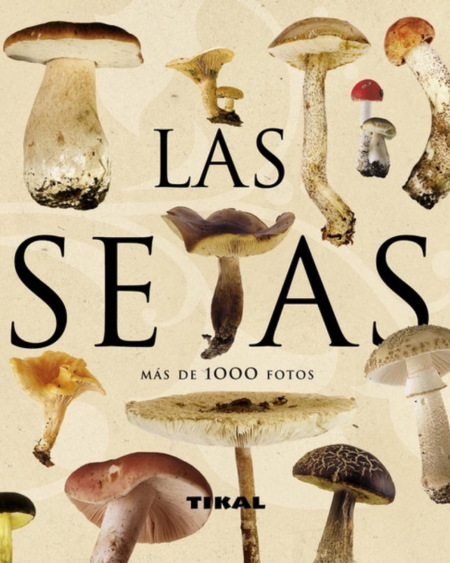 Las Setas (enciclopedia Universal)