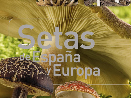 Setas De España Y Europa