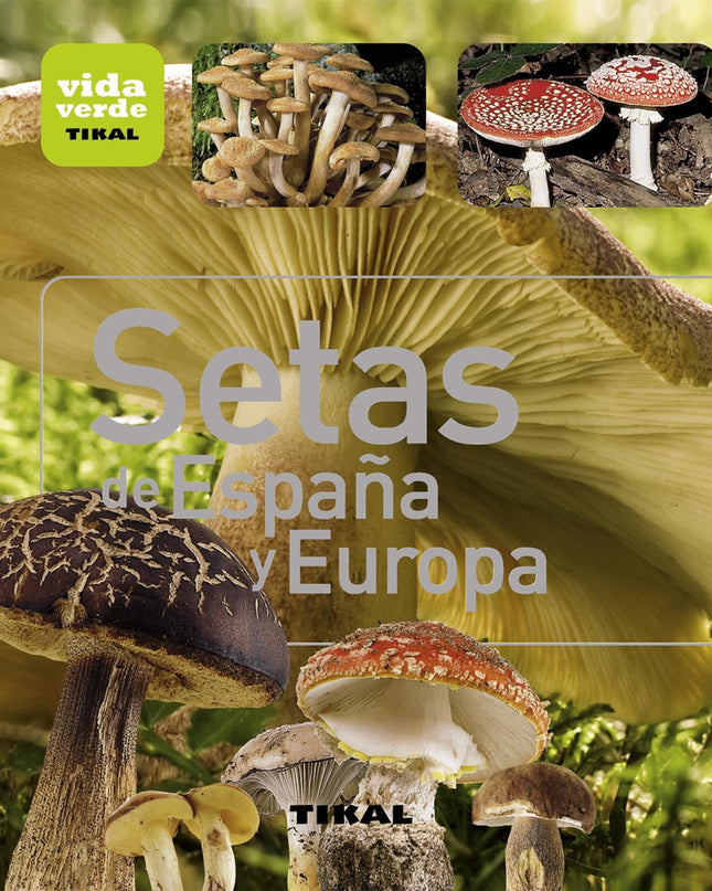 Setas De España Y Europa