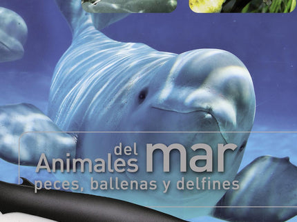 Animales Del Mar, Peces, Ballenas Y Delfines