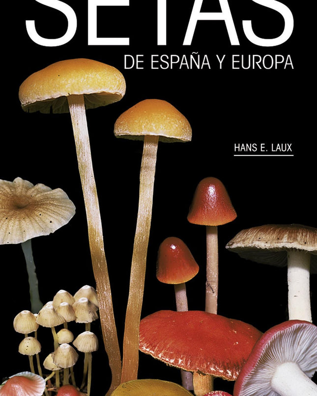 Setas De España Y Europa