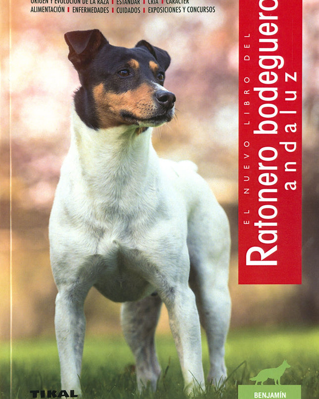 Ratonero Bodeguero Andaluz