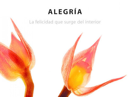 Alegría
