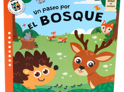 Un Paseo Por El Bosque