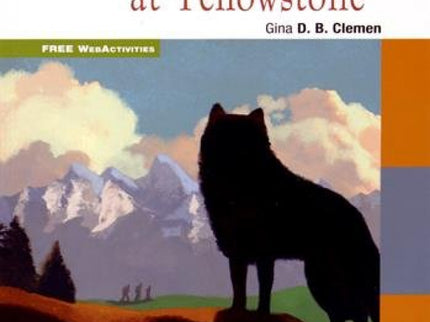 The Great Adventure At Yellowstone