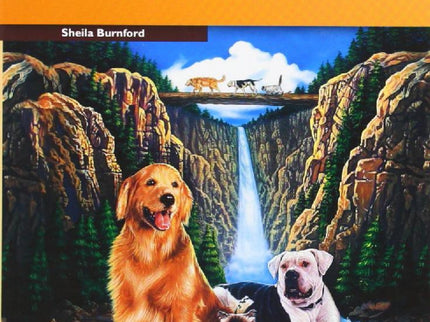 The Increible Journey