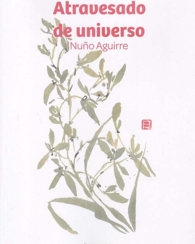 Atravesado De Universo