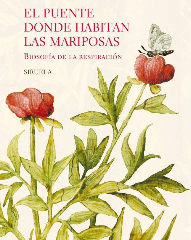 El Puente Donde Habitan Las Mariposas