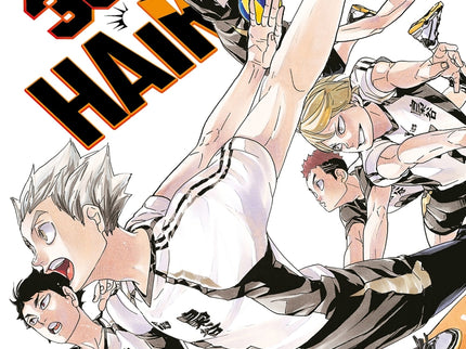 Haikyû!! Nº 38/45