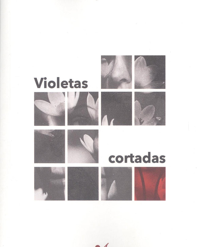 Violetas Cortadas