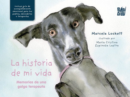 La Historia De Mi Vida