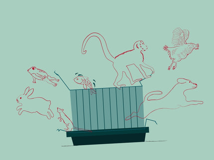 Paradojas De La Experimentación En Animales